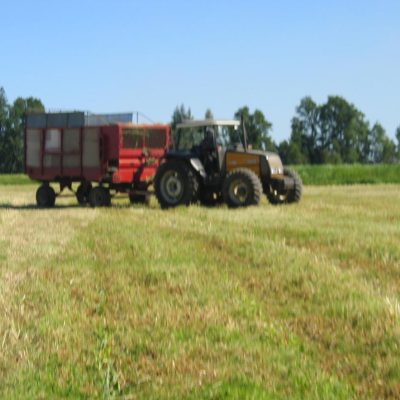 Campo 005